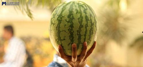 娱乐吃爆瓜,爆瓜盛宴，明星幕后故事大公开